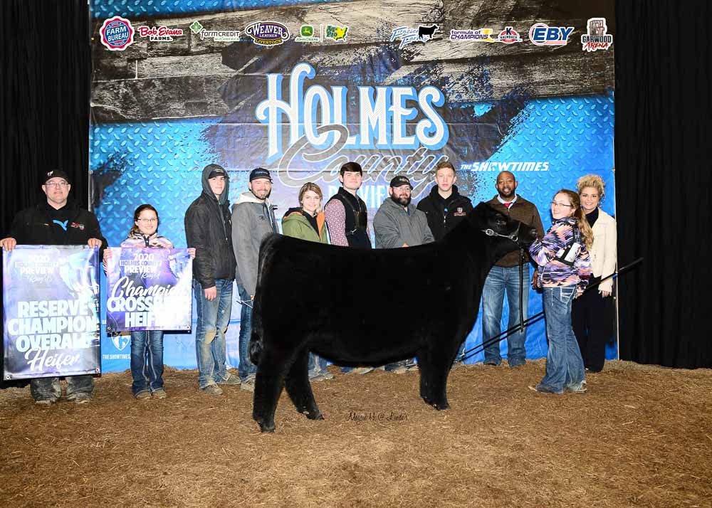 Holmes County Preview Show Results