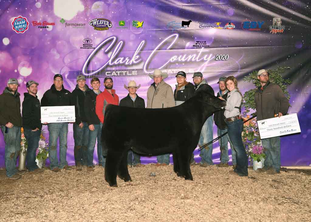 Clark County Cattle Battle Results