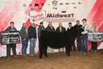 1chheifer_ab_dsc_1117.jpg