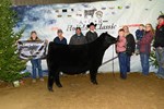 1chheifer_b_meg6295.jpg