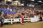 DCSS Crowd with Brutus