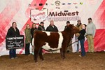3rdheifer_b_dsc_1156.jpg