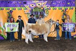3rdma_a_4th_mrh_4509.jpg