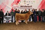 3rdmkt_a_dsc_1780.jpg