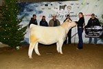 4thheifer_a_meg6314.jpg