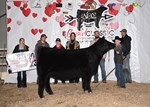 4thheiferbljs_9392.jpg
