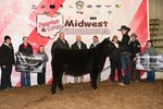 5thheifer_a_4th_b_dsc_1151.jpg