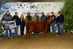 5thheifer_a_meg6312.jpg