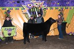 5thheiferbljs_9879.jpg