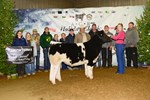 5thmkt_b_meg5718.jpg