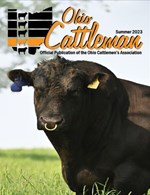 Summer Mag Cover