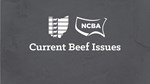 Current Beef Issues