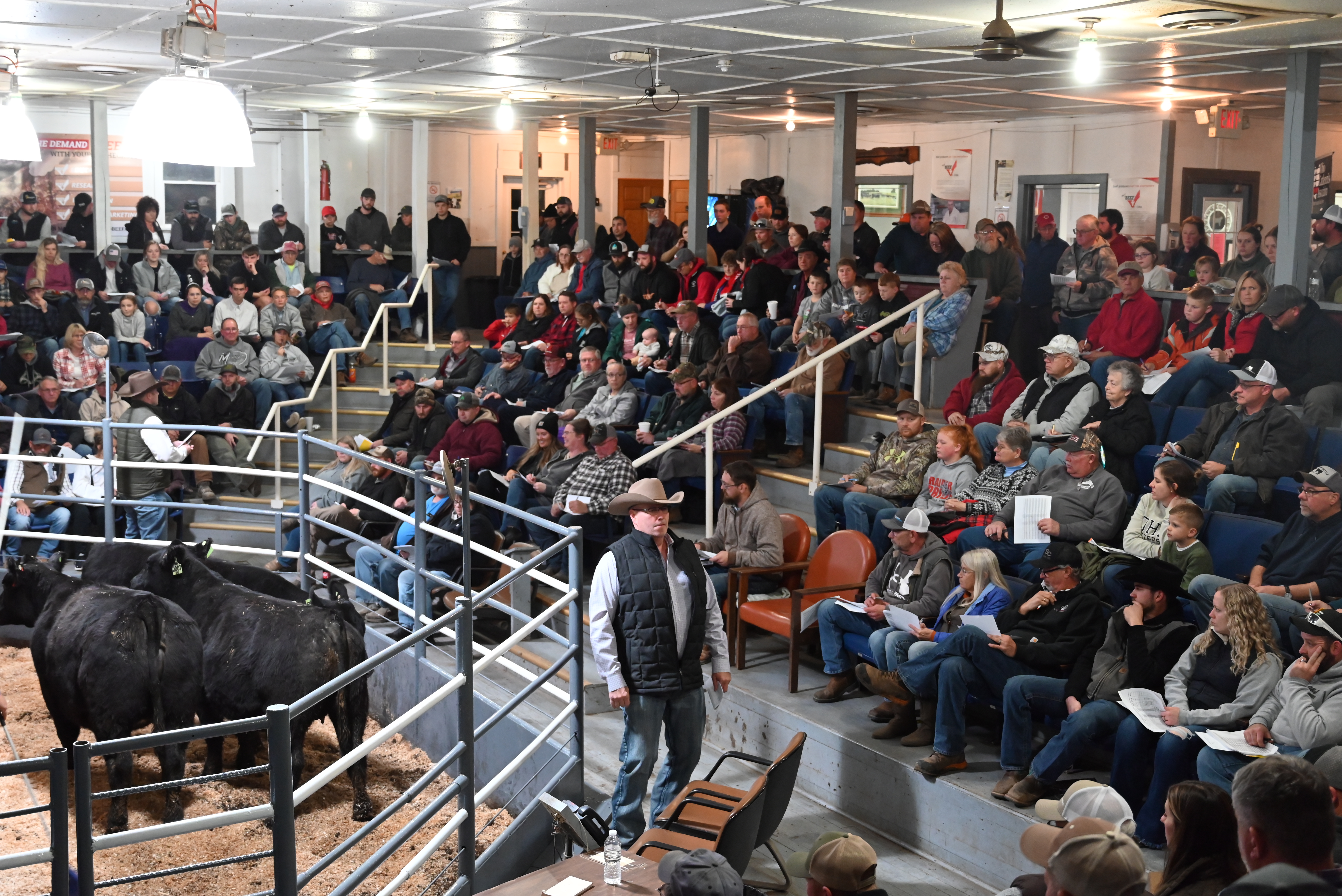  14th Annual OCA Replacement Female Sale to take place Nov. 27