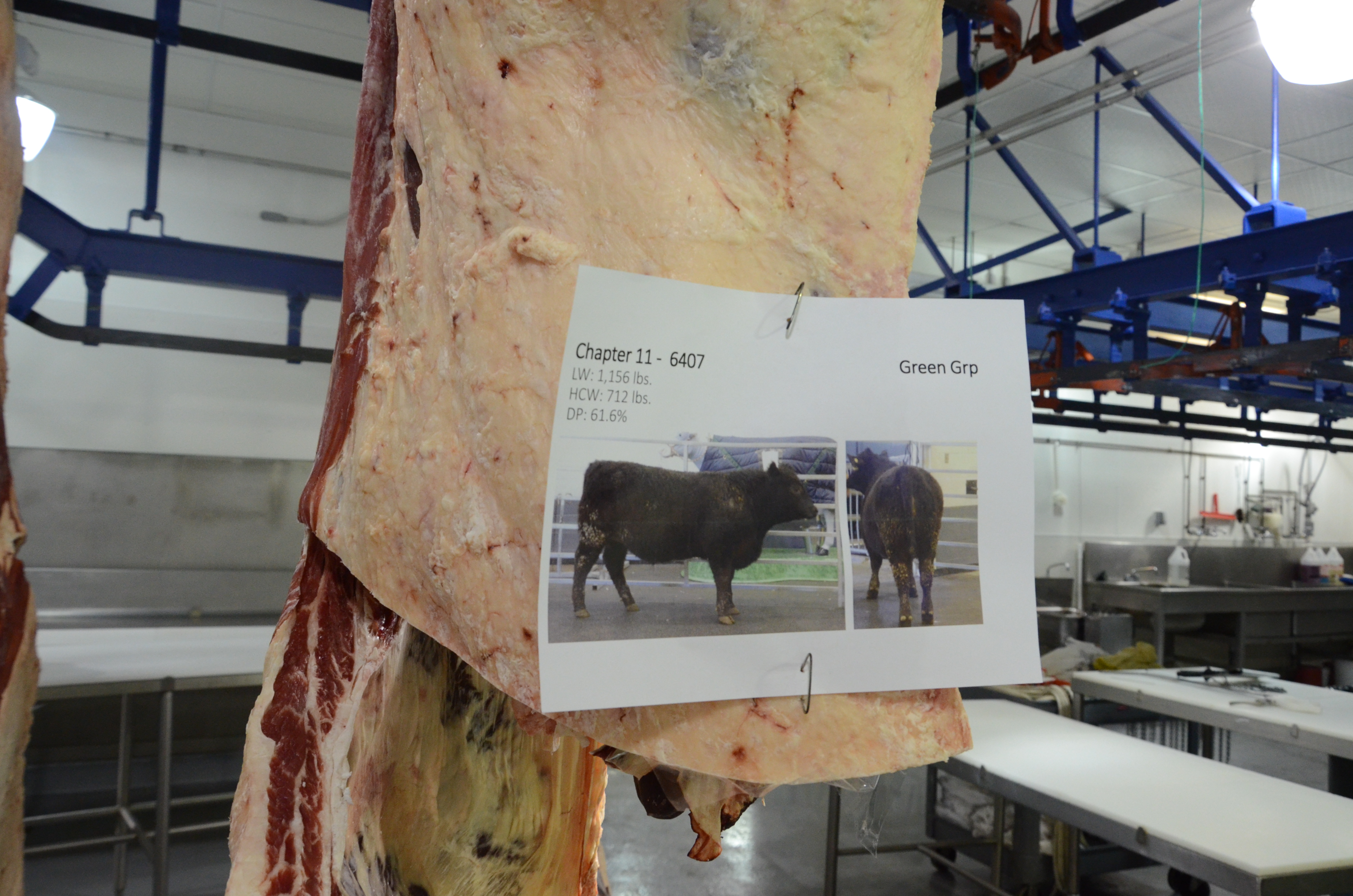 BEEF 509 program back in 2023, registration now open