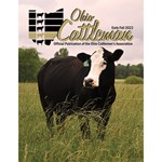 Early Fall 2022 Cover
