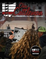 People Looking at Magazine