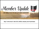 member update block