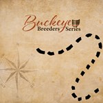 buckeye breeders series points website graphic