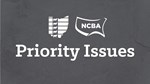 Priority Issues