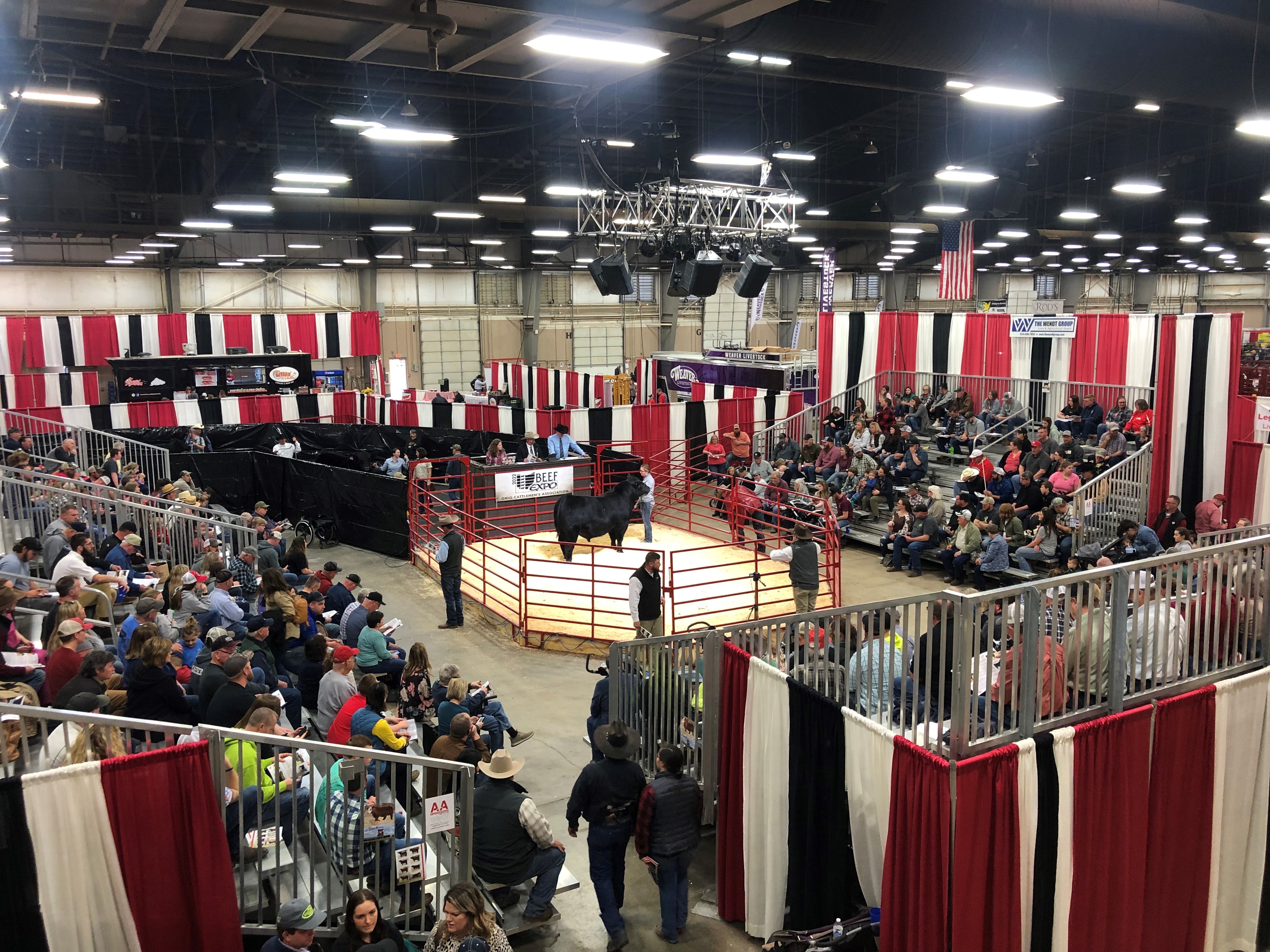 Beef enthusiasts gathered in Columbus for the 34th Ohio Beef Expo