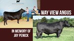 way-view-bred-heifer_1.jpg